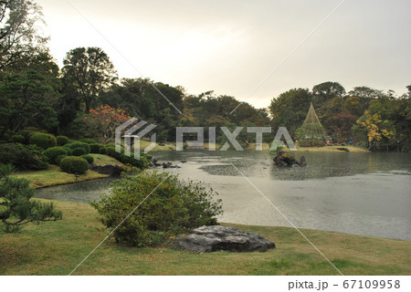 六義園　池泉回遊式庭園の通り雨 67109958