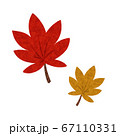 紅葉2色jpg 67110331