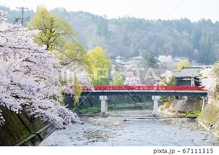 岐阜県 高山市 赤い欄干の中橋 春 岐阜県 高山市 赤い欄干の中橋 春 67111315