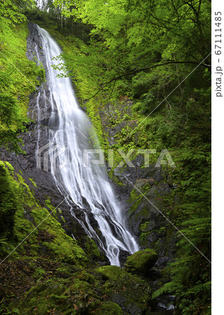 音無の滝(奈良県吉野郡上北山村) 音無の滝(奈良県吉野郡上北山村) 67111485