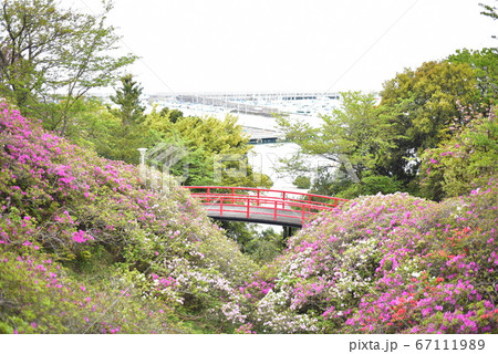 淡輪遊園 淡輪遊園 67111989