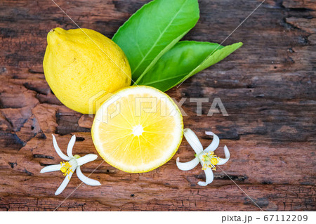 fresh lemon fresh lemon 67112209