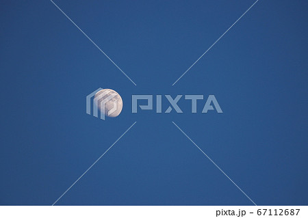 ムーン ムーン 67112687