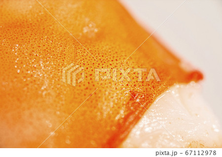 Ultra macro photo of a tender and juicy freshly Ultra macro photo of a tender and juicy freshly 67112978
