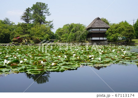 岡山県津山市にある回遊式日本庭園「衆楽園」 岡山県津山市にある回遊式日本庭園「衆楽園」 67113174