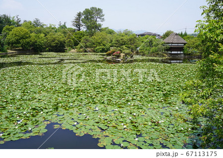 岡山県津山市にある回遊式日本庭園「衆楽園」 岡山県津山市にある回遊式日本庭園「衆楽園」 67113175