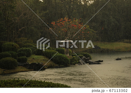 六義園　池泉回遊式庭園　燈籠に降る雨 67113302