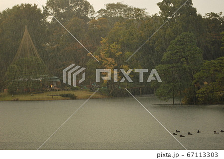 六義園 庭園に大雨 六義園 庭園に大雨 67113303