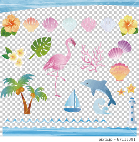 夏天海熱帶熱帶水彩插圖素材集 夏天海熱帶熱帶水彩插圖素材集 67113391
