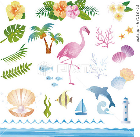 夏 海 南国 トロピカル 水彩 イラスト素材セットのイラスト素材