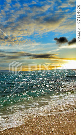 サンセット サンセット 67114026