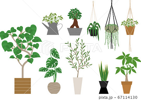 観葉植物セット 67114130