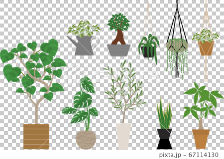 観葉植物セット 67114130