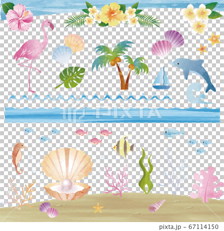 夏天海熱帶熱帶水彩插圖素材集 67114150