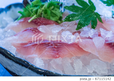 鯉の洗い 鯉の洗い 67115142