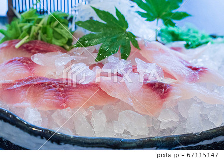 鯉の洗い 鯉の洗い 67115147
