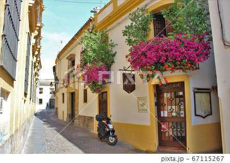 アンダルシア地方コルドバの街並み(Spain/Cordoba) 67115267