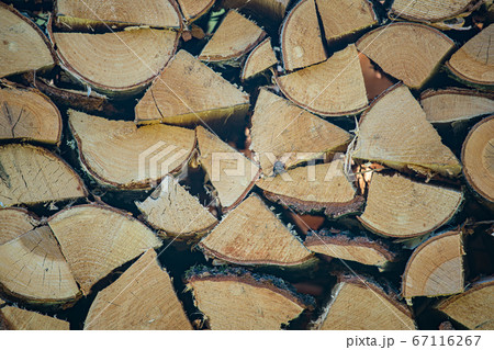 Pile of wood logs ready for winter 67116267