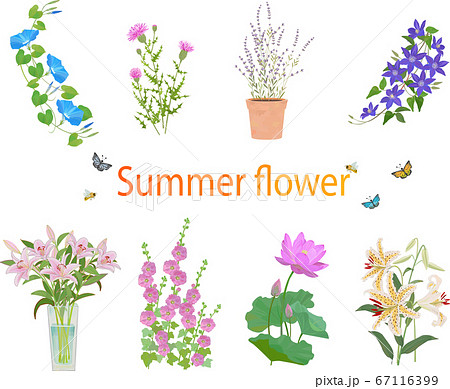 夏の花セット 夏の花セット 67116399