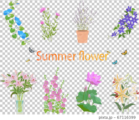 夏の花セット 夏の花セット 67116399