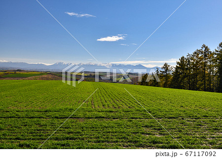 十勝岳連峰 67117092