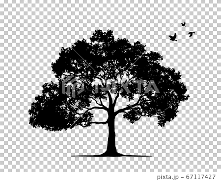 birds flying from tree silhouette