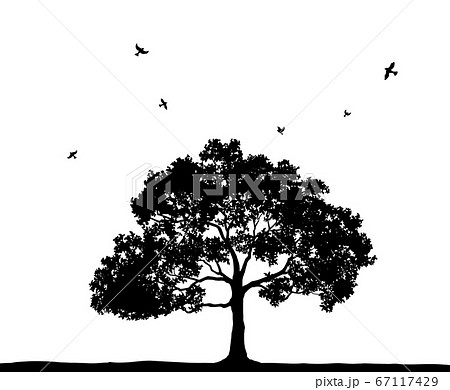 木と飛んでいる鳥のシルエットのイラスト素材