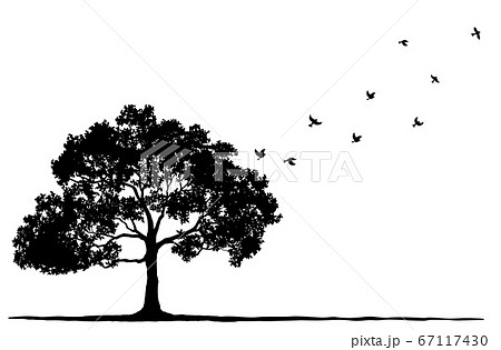 木と飛んでいる鳥のシルエットのイラスト素材