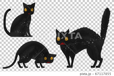 ハロウィンのイラスト 黒猫のセット 威嚇と恐怖 平常心のイラスト素材