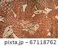 和服の布地 67118762