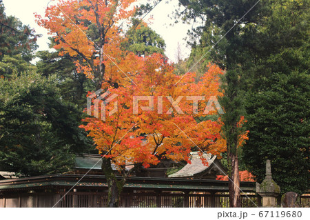 紅葉の季節の滋賀 鶏足寺 紅葉の季節の滋賀 鶏足寺 67119680