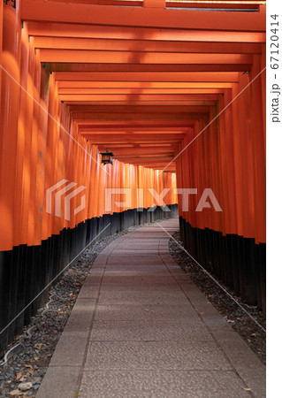 伏見稲荷大社 千本鳥居 全国に約3万社ある稲荷神社の総本宮 の写真素材