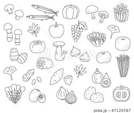 秋の味覚の手書きのイラストのセット 食欲の秋 シンプル おしゃれのイラスト素材