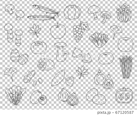 秋の味覚の手書きのイラストのセット 食欲の秋 シンプル おしゃれのイラスト素材