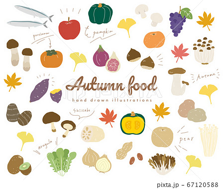 秋の味覚の手書きのイラストのセット 食欲の秋 シンプル おしゃれのイラスト素材 6715