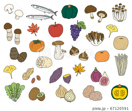 秋の味覚の手書きのイラストのセット 食欲の秋 シンプル おしゃれのイラスト素材