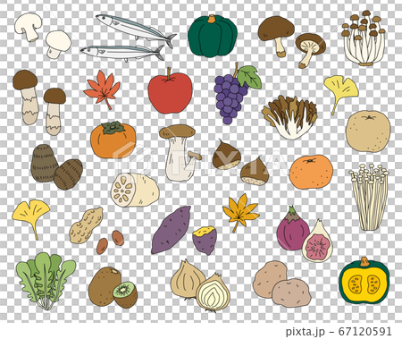 秋の味覚の手書きのイラストのセット／食欲の秋／シンプル／おしゃれ 67120591