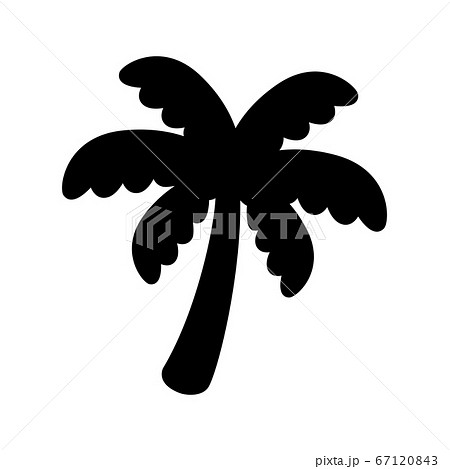 palm tree icon coconut tree vector logo symbol plant sign tropical summer beach character cartoon illustration doodle design 67120843