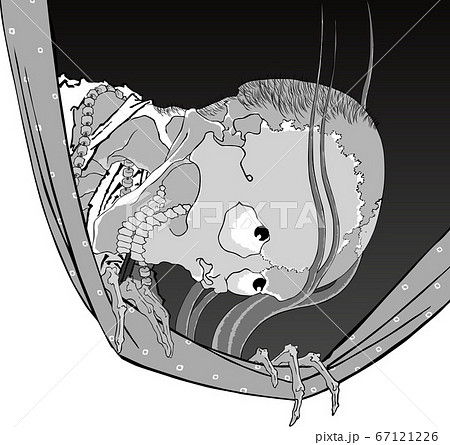 小幡小平次　白黒 67121226
