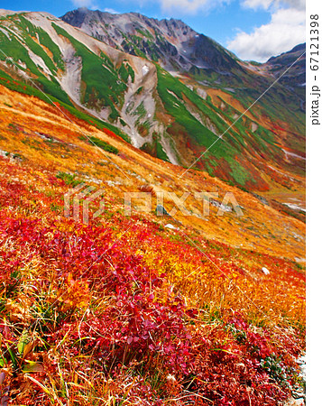 錦秋の候　立山 室堂 あざやかな紅葉 67121398