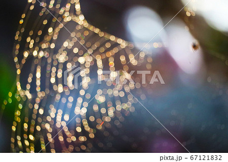 morning light blur and bokeh abstract and art of morning light blur and bokeh abstract and art of 67121832