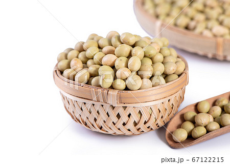 大豆 まめ マメ 67122215