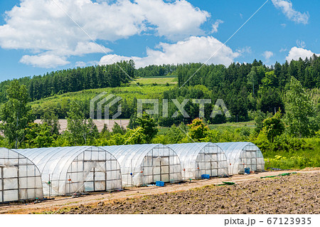 ビニールハウス / 北海道 富良野市 ビニールハウス / 北海道 富良野市 67123935