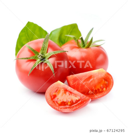 Fresh tomato with basil Fresh tomato with basil 67124295