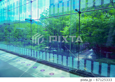 緑の木々に囲まれたガラス張りのビルの都市風景 67125333