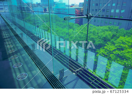 ビルから緑の木が見える都市風景 ビルから緑の木が見える都市風景 67125334