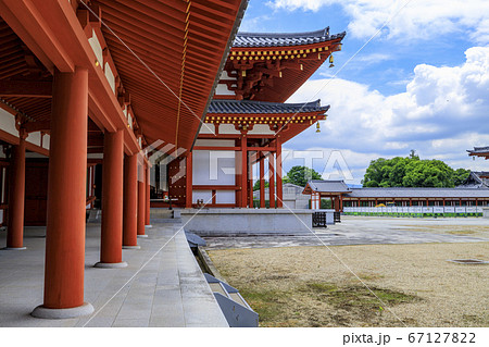東塔修復後の世界遺産薬師寺に咲く蓮花 67127822