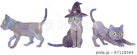 水彩_3匹の黒猫(ハロウィン素材) 67128364