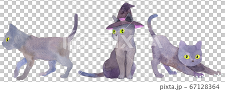 水彩_3匹の黒猫(ハロウィン素材) 67128364