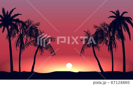 Red Sunset And Silhouettes Of Palm Alley のイラスト素材